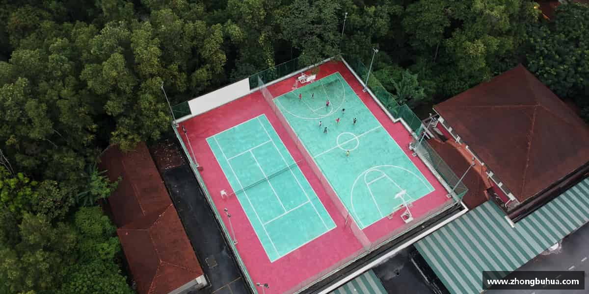 发现三亿体育